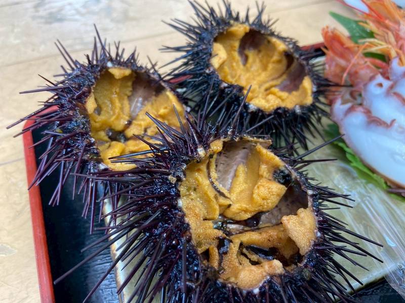 殻ごと割った新鮮なウニ